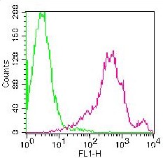 Monoclonal Antibody to Rat CD43 (Clone:WEN3)